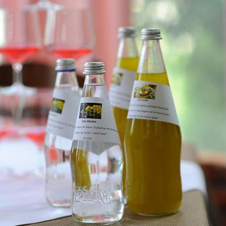 "Frogs House" Hotel & Restorant Slow Food Lushnjë Zewnętrze zdjęcie
