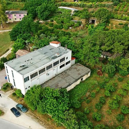 "Frogs House" Hotel & Restorant Slow Food Lushnjë Zewnętrze zdjęcie